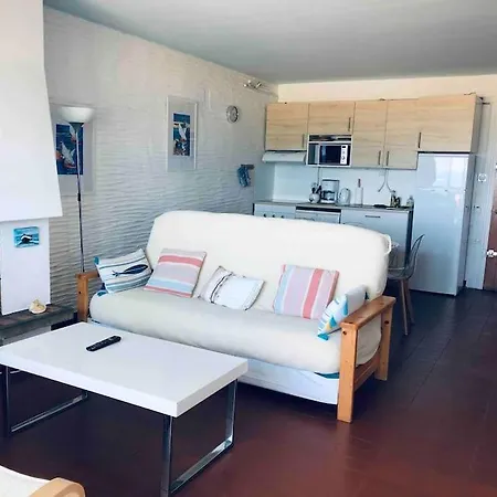 Sur La Plage, Vue Sur Mer, Spacieux T3 Au Calme Saint-Cyprien  Exterior photo